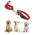 Jainsons Pet Products 2cm / 20mm Reflective Dog Leash and Collar Set with Safety Locking Buckle Nylon Pet Collars Adjustable for Small Medium Large Dogs (Color May Vary)