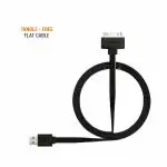 Amkette Black 30 Pin to USB Charging & Data Sync Cable for iPhone