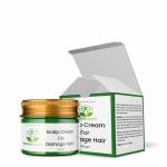 HerbalSupport Hair & Scalp Nourishment Hair Cream 100gm (pack of 1)