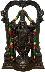 WINSOME COLLECTION Tirupati Balaji Sri Venkateswara Idol Spiritual Decorative Showpiece - 19 cm (Resin, Black)