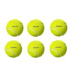 Gmefvr Cricket Ball Cricket Tennis, Wind Ball, i10 Balls for Practice and T-20 Playing Balls (Cricket Tennis Green 6 pcs)