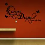 Decor Villa Wall Sticker ( Diem design ,Surface Covering Area 40 x 23 Inch)
