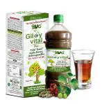 AVG Giloy Vital, Ayurvedic Herbal Supplement, Giloy, Ashwagandha, Amla, Tulsi, Natural Immunity Booster | 1000 ml