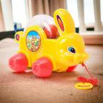 GIFTINGURU ANAND Bunny - Cute Plush Toy