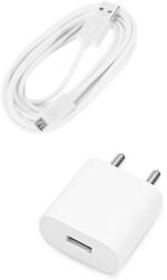 Badger Wall Charger Accessory Combo for Panasonic Eluga I3 (White)