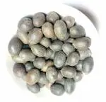 Nutrixia Kamal Seed Beej-Nelumbo nucifera Gaertn-Kamal Kakadi-Kamal Gatta 100 Gms