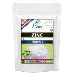 Erwon Zinc Fertilizer, 100% Pure, Premium Powerful Fertilizer for Overall Growth of Plants (400 gm)
