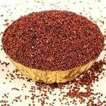 aplenty Ragi Edible Seed | Finger Millet | Whole Grain | Kelvaragu | Nachni | Ragulu/Aariyam/Maduva/Panji Pullu 900G