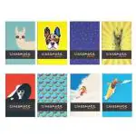 Classmate Pulse Notebook - Ruled, Single Line, A5, Hardcover, 192 Pages, 1 pc