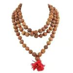 Feel Touch Mart Rudraksha Jaap Mala Natural Bead 108+1 Bead Mala with Lab Certified