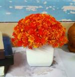 Litleo SmartBuy Table Top Filler For Gift , Décor, Dining Table Center table Bonsai Artificial Plant with Pot (15 cm, Orange)