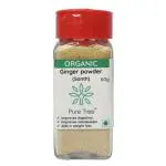 Pure Tree Certified Organic Dry Ginger Powder 60 gm| Adrak Powder