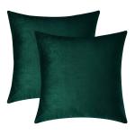Sugarchic Dark Green Velvet Cushion Covers (Pack Of 2)