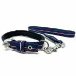 WOWDOG Dog Neck Paded Collar Adjustable Belt & Leash Set for Small Dogs to Young Medium Size