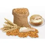 Denzcart Pure Organic India Wheat 1kg THE GIR 100% Natural Products in Saurashtra (Gujarat).