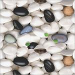 DISENO Nature Multicolor Wallpaper (300 Cm X 40 Cm, Pack Of 2)