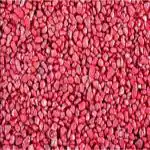 FOODIE PUPPIES River Rock Unplanted Substrate (Red, 2.5 kg)