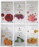 Dhairya Sales Corporation Premium Incense Sticks for Pooja Combo Pack of 6 - Dutch Rose, Lavender, Lotus, Marigold, Mogra, Tulip (Zipper Pouch Pack)
