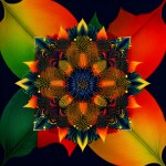 Love Creation 12x18 Size poster print for creative wall art- garden-of-eden-7674(Non Sticker)