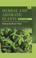 22. Ocimum basilicum (Holy Basil)