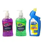 We Shine Disinfected Germs and Bacteria Protector Handwash And Toilet Cleaner