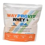 Wayprovit Whey Protein Muscle Building, Bone Strength, Immunity, Healthy Skin (200g PET Pack of 2, Mango)