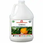 ERWON: Gibrac, Liquid Gibberellic acid Fertilizer for better growth of plants, fruits and vegetables. (500 ml)