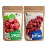 Bliss of Earth 200gm Dried American Strawberries + Sliced Dried American Cranberries Dry Fruit