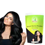 NATURALDIVA Black Henna Powder for Hair Color | Shine Hair | Pack of 1 | 40gm