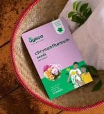 Ugaoo Chrysanthemum Flower Seeds (Pack Of 200)