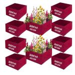 Iagrifarm 18x9x9 Inch Geo Fabric Grow Bags, Pack of 10, UV Protected, 450 GSM, Rectangular Shape/Maroon Colour for Home & Terrace Garden