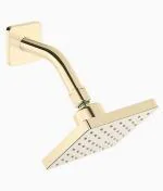 Kohler Gold ABS Showerhead with Shower Arm
