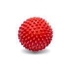 Jaspo Red Cricket Reaction Ball For Training