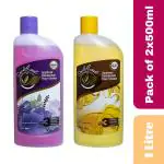 SOULFRESH 500ml (pack of 2)Disinfectant floor cleaner liquid | Kills 99.9% germs |Lavender, Floral