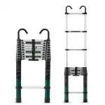 Plantex Ladder for Home/Aluminium 3.8 meters(12.5 ft.) Telescopic Ladder/Extendable Portable Steps and Compact Design - (Green)
