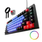 Kreo Hive Anti-ghosting Gaming Keyboard | 75% Tenkeyless Wired Mechanical Keyboard with RGB LED Backlight Red Switches & 3 Colour Key Caps | Detachable USB C Cable PB (RGB Backlight, Red Switch)