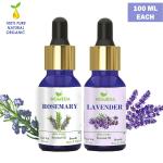 Homeda Lavender and Rosemary Essential Oil (100ML each) for Hair Growth, Skin, Face, Body, Diffuser, Sleep, 100% Pure Aroma Essence Oil for Aromatherapy