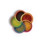 TRIQUEENCH Plastic Round 5 Section Elegant Multipurpose Utility Box/Masala Box /Dry Fruit Box (Red)