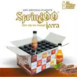 SPRINGOO Crafted with 100% natural ingredients Jeera soda water Pure Refreshment Drink with Authentic Jeera syrup sparkling water Fizzy drink for summers | 24-Bottle Combo Pack (200ml each)