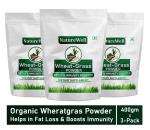 Naturewell Pack of 3 Wheat Grass Powder - Immunity Booster & Detox (400 Gram Each)
