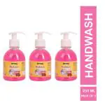 MYZONE Skincare Liquid Handwash 250ML (Pack of 3 )
