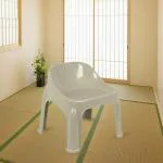 Nayasa bathstool with backrest,colour as per availability