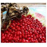 Pmw - Red Lucky Seeds - Full Red Gunja - Adenanthera Pavonina - Coral Wood Tree - 21 Seeds