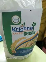KRISHNA KAVERI SEEDS Hybride Paddy Krishna Kaveri (Pack Of 4 _ 1 KG)_