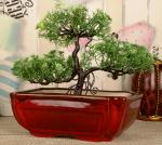 Justoriginals New Big Rectangular Bonzai Shape Ceramic Flower Pot(Color: Wine) Plant Container Set (Ceramic)