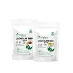Kerala Naturals Jackfruit Dried Slices 200gm+ Jackfruit Seed Powder 100gm - Combo