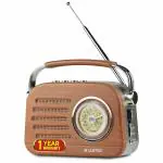 Castor iBell FM820BT Portable FM Radio with Dynamic Speaker