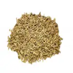 Green India Bermuda grass seeds,lawn grass seeds-250gm
