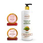 D' Samie Green Tea Shampoo & Burnt Brown & Rose Core Lip Tint Combo