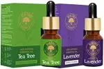 Old Tree Tea Tree and Lavender Essential Oil Combo, 15 ml Each